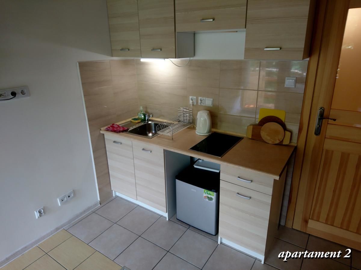 Апартаменты Apartamencik z Widokiem Na Giewont Закопане-12